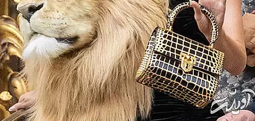 این زنان مشهور در ملاعام تبدیل به گرگ و پلنگ شدند